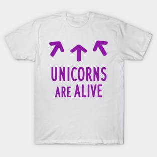 Unicorn Girls Women Girls Einhron Ehorn T-Shirt